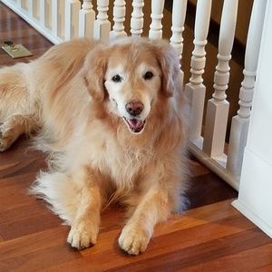 Meet your Posher, Brian